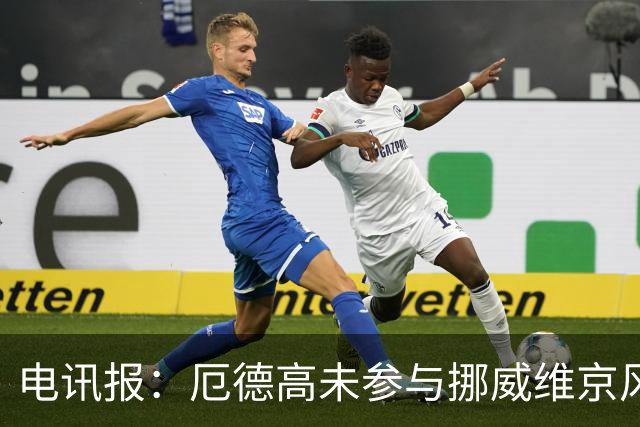 电讯报：厄德高未参与挪威维京风合照拍摄，随后补拍被添加进照片